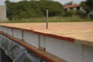 WhatsApp Image 2024-03-05 at 12.26.33 (1)