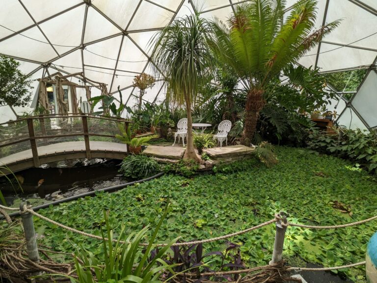domo Jardin