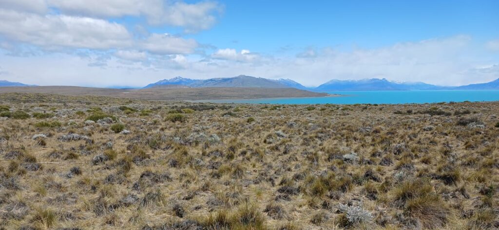 WhatsApp Image 2025-10-20 at 16.17.18