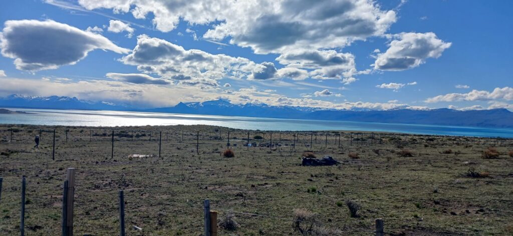 WhatsApp Image 2025-11-13 at 09.03.25